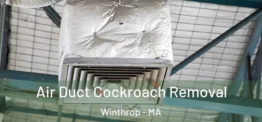  Air Duct Cockroach Removal Winthrop - MA