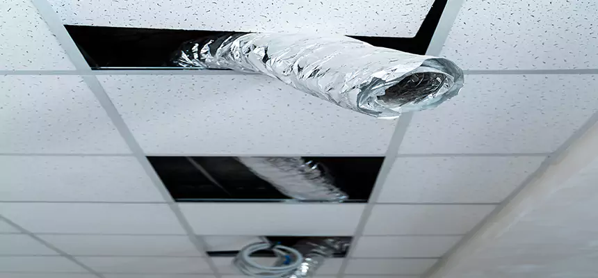 Affordable HVAC Sanitizing After Pest Removal in Winthrop