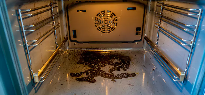 Our Dryer Vent Mold Cleaning Services in Winthrop, MA