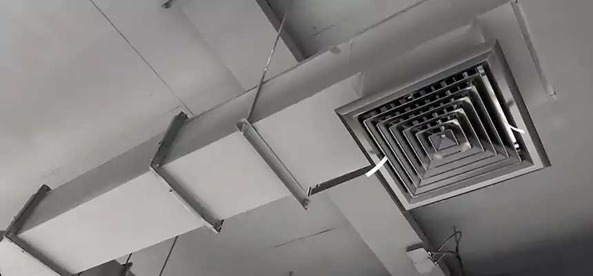 Our Rodent Droppings In Vents Services in Winthrop, MA