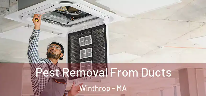 Pest Removal From Ducts Winthrop - MA