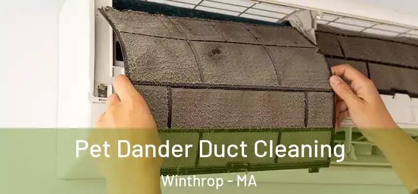 Pet Dander Duct Cleaning Winthrop - MA