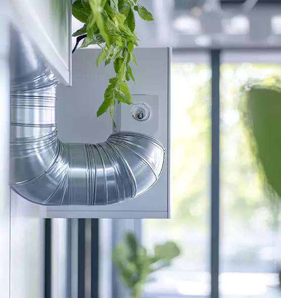 Professional Eco-Safe Dryer Vent Cleaning in Winthrop, MA