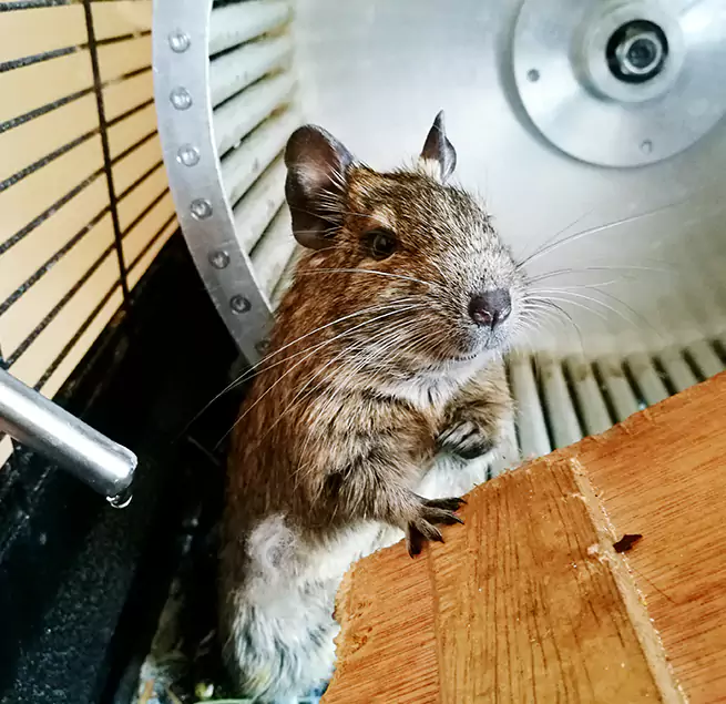 Why Homeowners & Businesses Trust Us Winthrop, MA