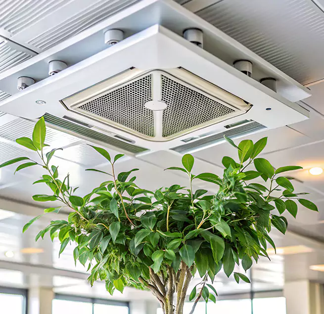 Why Homeowners & Businesses Trust Us in Winthrop, MA?